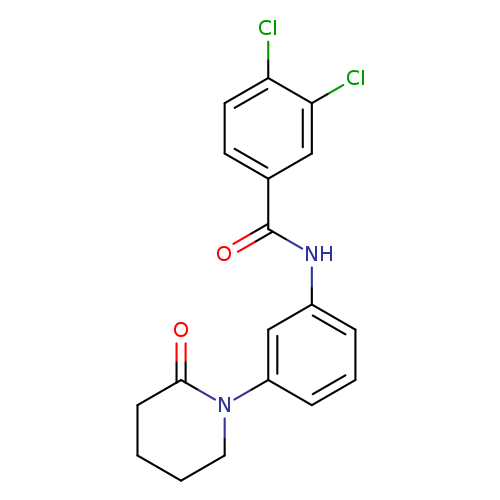 3,4-dichloro-N-[3-(2-oxopiperidin-1-yl)phenyl]benzamide