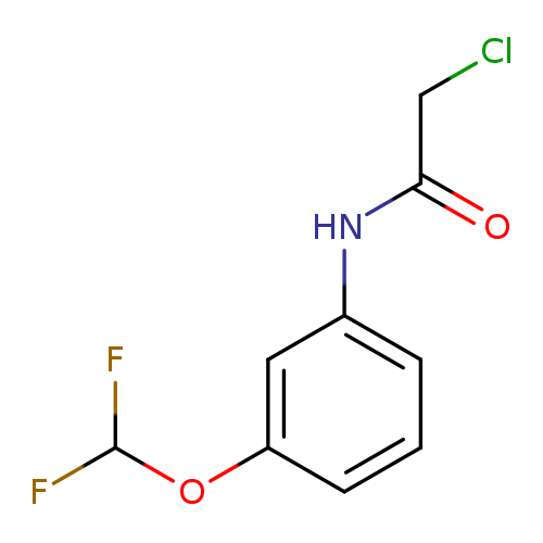 2-Chloro-N-[3-(difluoromethoxy)phenyl]acetamide