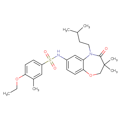 N-[3,3-dimethyl-5-(3-methylbutyl)-4-oxo-2,3,4,5-tetrahydro-1,5-benzoxazepin-7-yl]-4-ethoxy-3-methylbenzene-1-sulfonamide