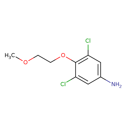 3,5-dichloro-4-(2-methoxyethoxy)aniline