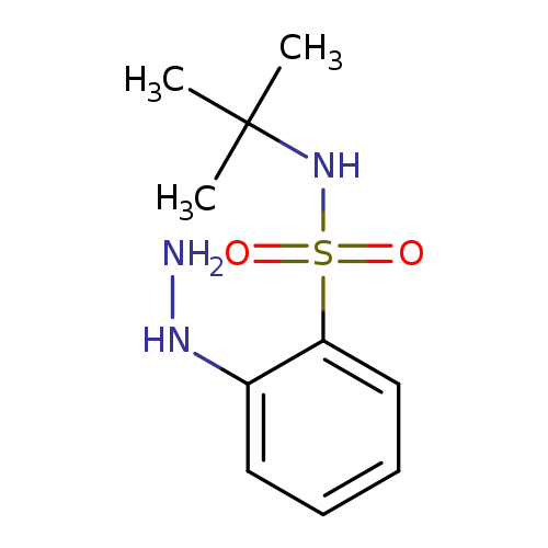 N-tert-Butyl-2-hydrazinylbenzene-1-sulfonamide