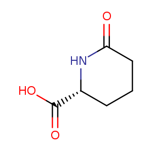 (R)-6-Oxopiperidine-2-carboxylic acid