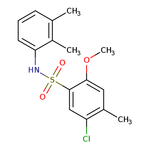 5-chloro-N-(2,3-dimethylphenyl)-2-methoxy-4-methylbenzene-1-sulfonamide