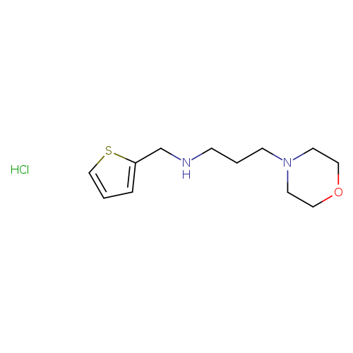 N-(3-Morpholin-4-ylpropyl)-n-(thien-2-ylmethyl)amine, HCl
