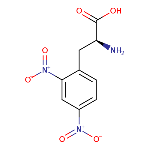 2,4-dinitro-3-phenyl-L-alanine