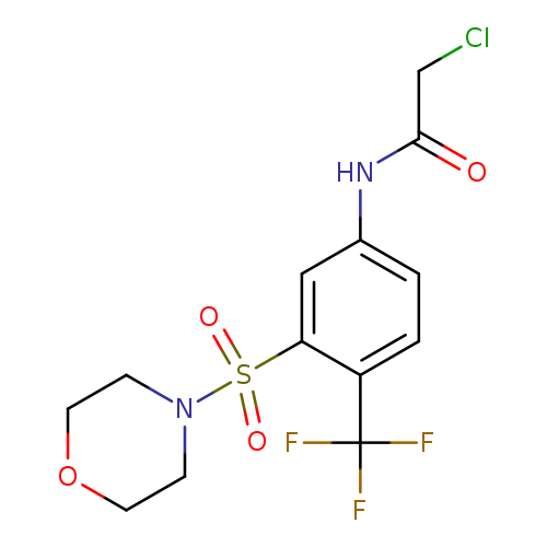 2-chloro-N-[3-(morpholine-4-sulfonyl)-4-(trifluoromethyl)phenyl]acetamide