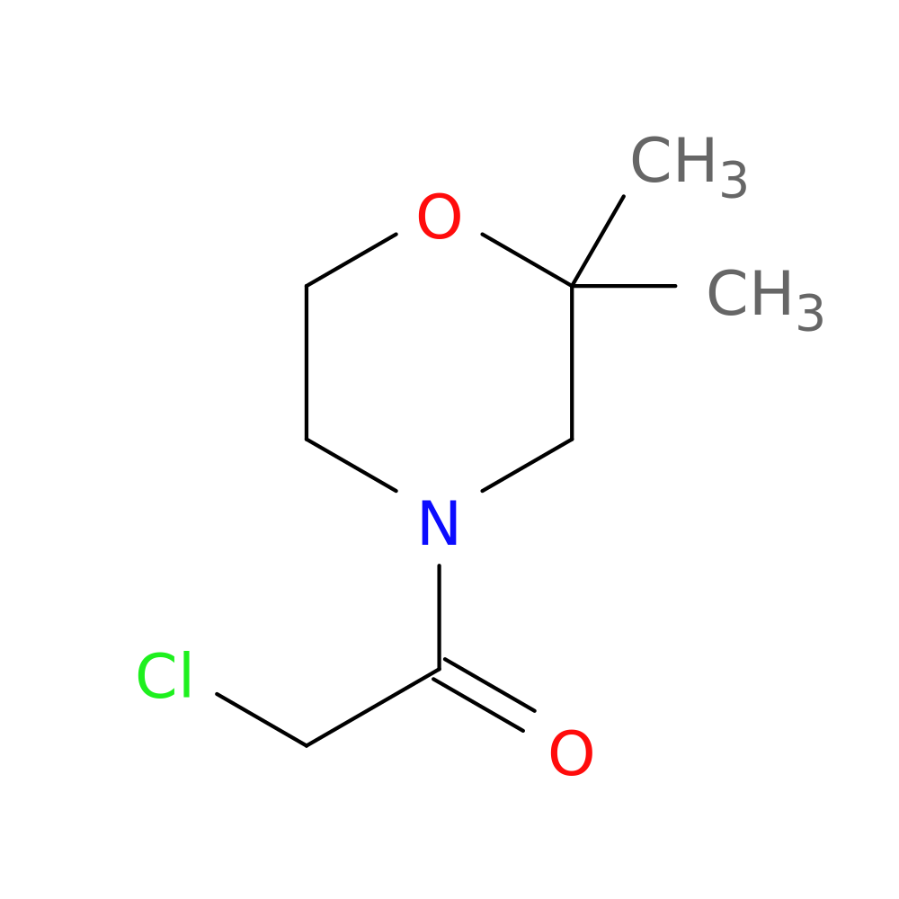 2-Chloro-1-(2,2-dimethylmorpholin-4-yl)ethan-1-one