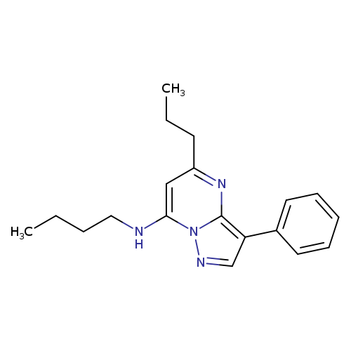 N-butyl-3-phenyl-5-propylpyrazolo[1,5-a]pyrimidin-7-amine