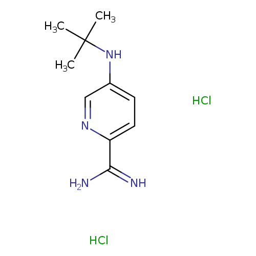 5-(tert-butylamino)pyridine-2-carboximidamide dihydrochloride