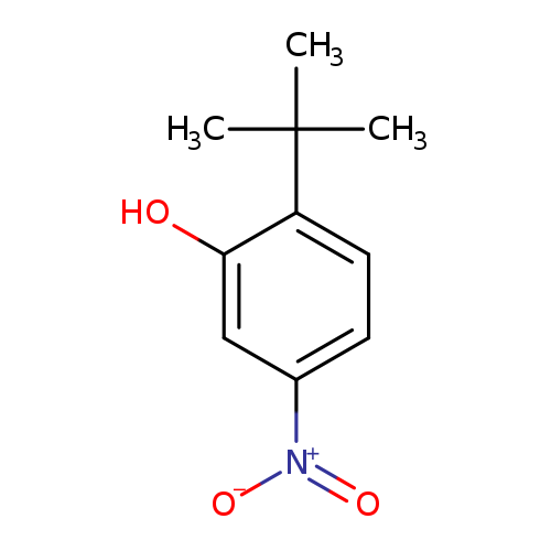 2-tert-Butyl-5-nitrophenol
