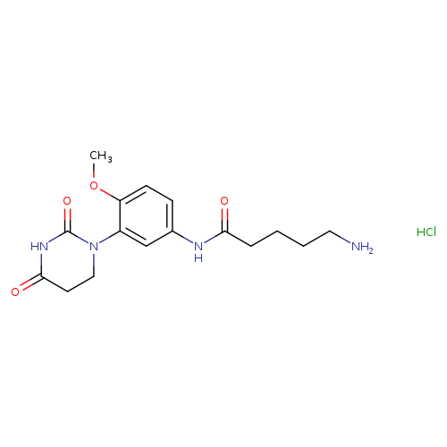 5-amino-N-[3-(2,4-dioxo-1,3-diazinan-1-yl)-4-methoxyphenyl]pentanamidehydrochloride