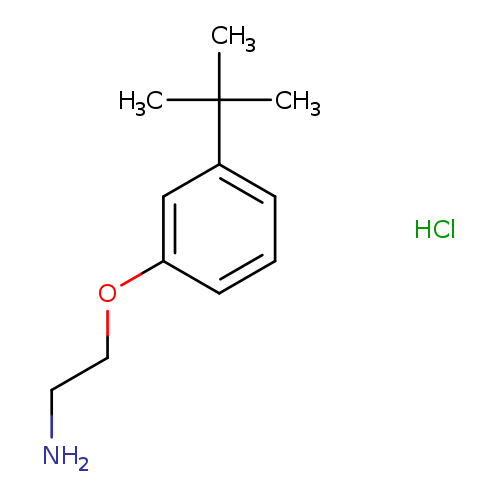 1-(2-Aminoethoxy)-3-tert-butylbenzene hydrochloride