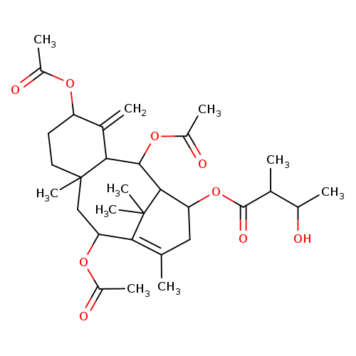 Yunnanxane