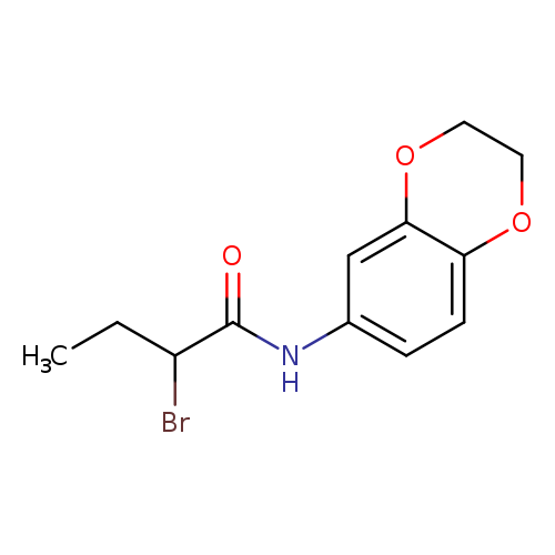 2-Bromo-n-2,3-dihydro-1,4-benzodioxin-6-ylbutanamide