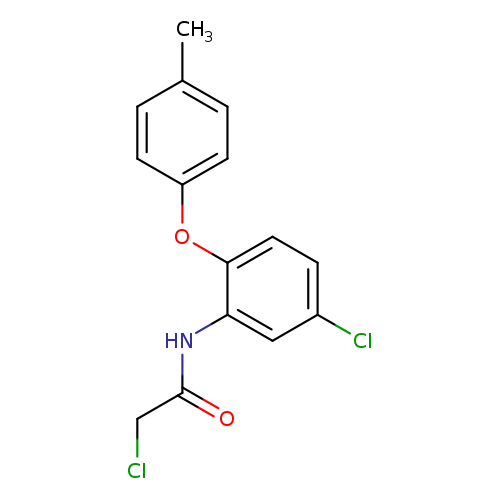 2-chloro-N-[5-chloro-2-(4-methylphenoxy)phenyl]acetamide