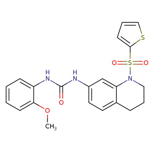 1-(2-methoxyphenyl)-3-[1-(thiophene-2-sulfonyl)-1,2,3,4-tetrahydroquinolin-7-yl]urea