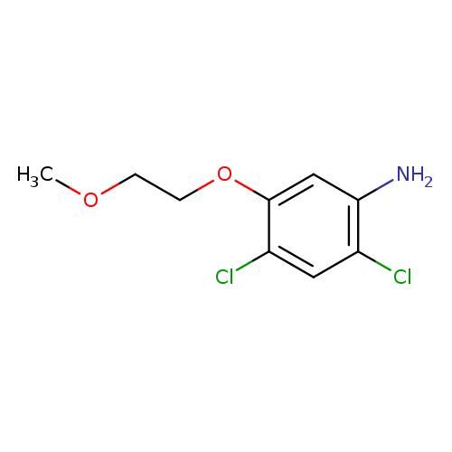 2,4-Dichloro-5-(2-methoxyethoxy)aniline