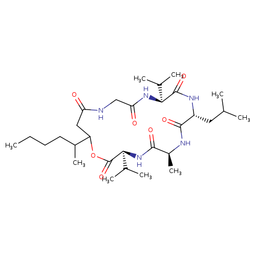 cyclo(L-alanyl-L-valyl-3-hydroxy-4-methyloctanoylglycyl-L-valyl-D-leucyl)