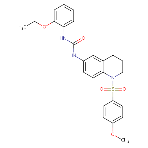 1-(2-ethoxyphenyl)-3-[1-(4-methoxybenzenesulfonyl)-1,2,3,4-tetrahydroquinolin-6-yl]urea