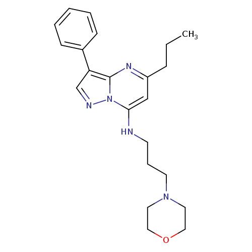 N-[3-(morpholin-4-yl)propyl]-3-phenyl-5-propylpyrazolo[1,5-a]pyrimidin-7-amine