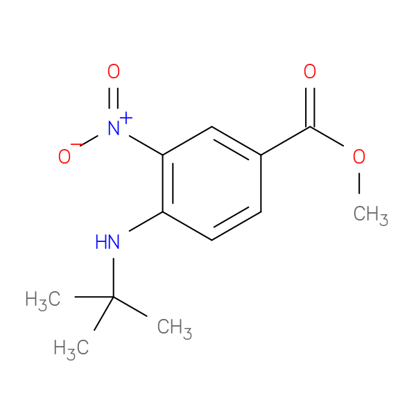 Methyl 4-(tert-butylamino)-3-nitrobenzoate