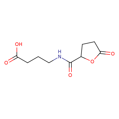 4-[(5-oxooxolan-2-yl)formamido]butanoicacid