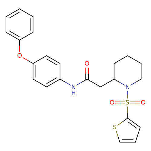 N-(4-phenoxyphenyl)-2-[1-(thiophene-2-sulfonyl)piperidin-2-yl]acetamide