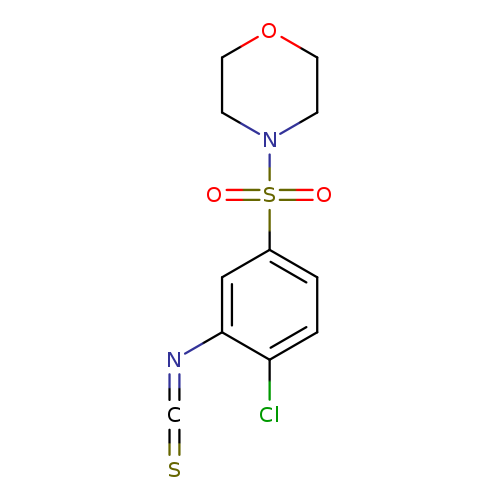 4-(4-chloro-3-isothiocyanatobenzenesulfonyl)morpholine