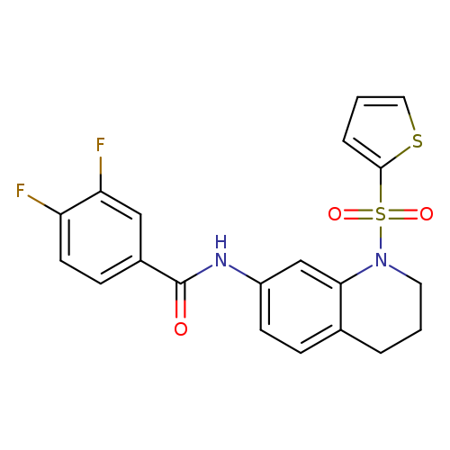 3,4-difluoro-N-[1-(thiophene-2-sulfonyl)-1,2,3,4-tetrahydroquinolin-7-yl]benzamide
