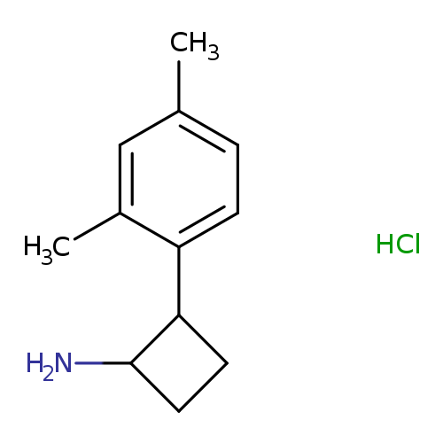 2-(2,4-dimethylphenyl)cyclobutan-1-amine hydrochloride, Mixture of diastereomers