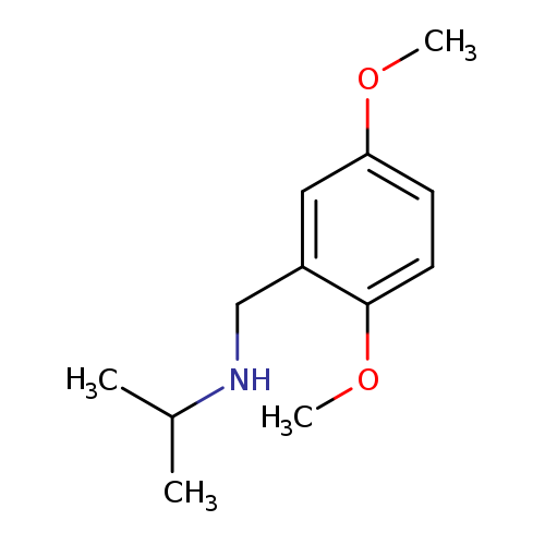 [(2,5-dimethoxyphenyl)methyl](propan-2-yl)amine