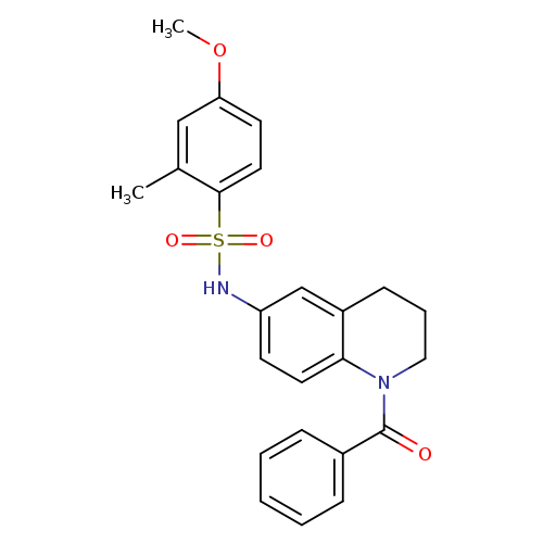 N-(1-benzoyl-1,2,3,4-tetrahydroquinolin-6-yl)-4-methoxy-2-methylbenzene-1-sulfonamide