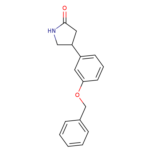 4-[3-(benzyloxy)phenyl]pyrrolidin-2-one