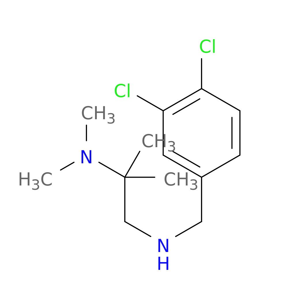 [(3,4-dichlorophenyl)methyl][2-(dimethylamino)-2-methylpropyl]amine