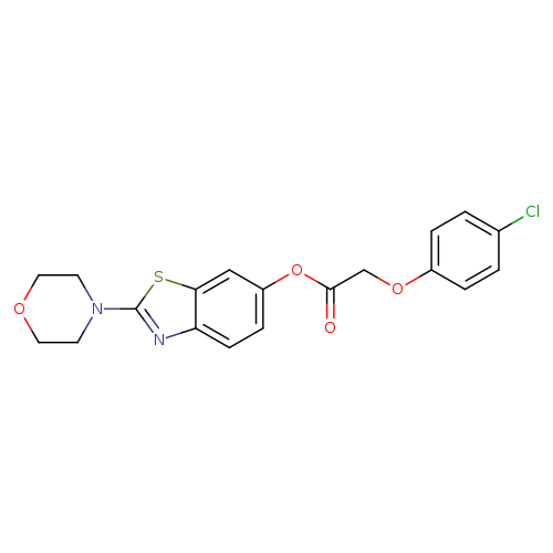 2-(morpholin-4-yl)-1,3-benzothiazol-6-yl 2-(4-chlorophenoxy)acetate