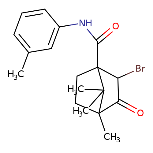 2-bromo-4,7,7-trimethyl-N-(3-methylphenyl)-3-oxobicyclo[2.2.1]heptane-1-carboxamide