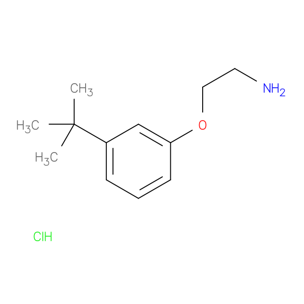 1-(2-Aminoethoxy)-3-tert-butylbenzene hydrochloride