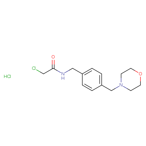 2-chloro-N-({4-[(morpholin-4-yl)methyl]phenyl}methyl)acetamidehydrochloride