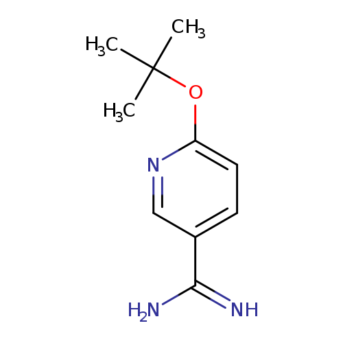 6-(tert-butoxy)pyridine-3-carboximidamide