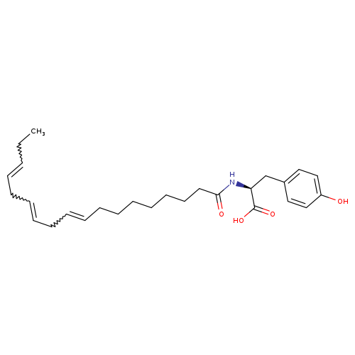 N(L-TYROSINE)-9Z,12Z,15Z-OCTADECATRIENAMIDE
