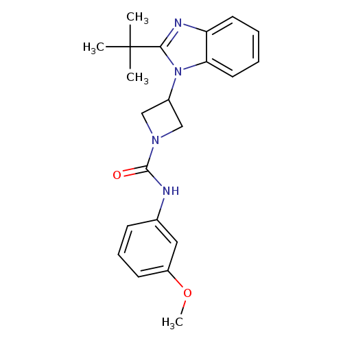 3-(2-tert-butyl-1H-1,3-benzodiazol-1-yl)-N-(3-methoxyphenyl)azetidine-1-carboxamide