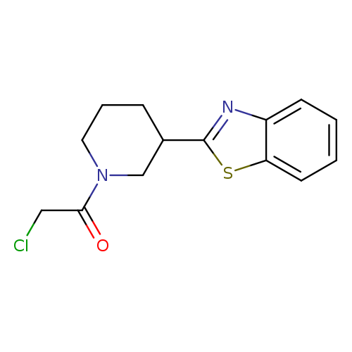 1-[3-(1,3-benzothiazol-2-yl)piperidin-1-yl]-2-chloroethan-1-one