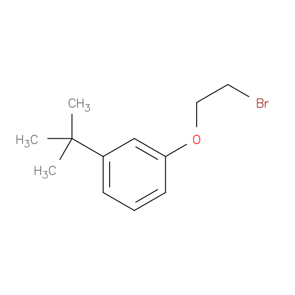 1-(2-bromoethoxy)-3-tert-butylbenzene