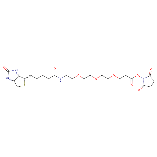 Biotin-PEG3-NHS ester