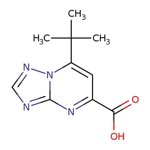 7-tert-Butyl[1,2,4]triazolo[1,5-a]pyrimidine-5-carboxylic acid