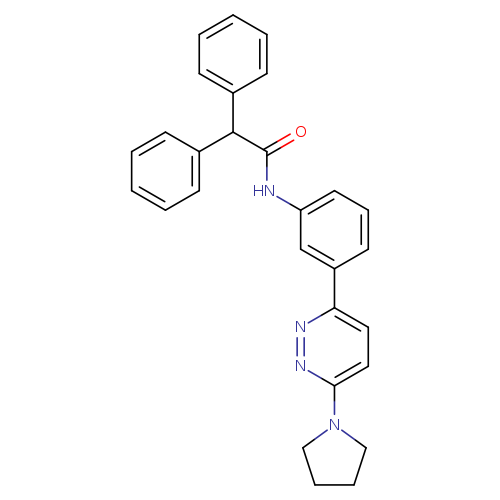 2,2-diphenyl-N-{3-[6-(pyrrolidin-1-yl)pyridazin-3-yl]phenyl}acetamide