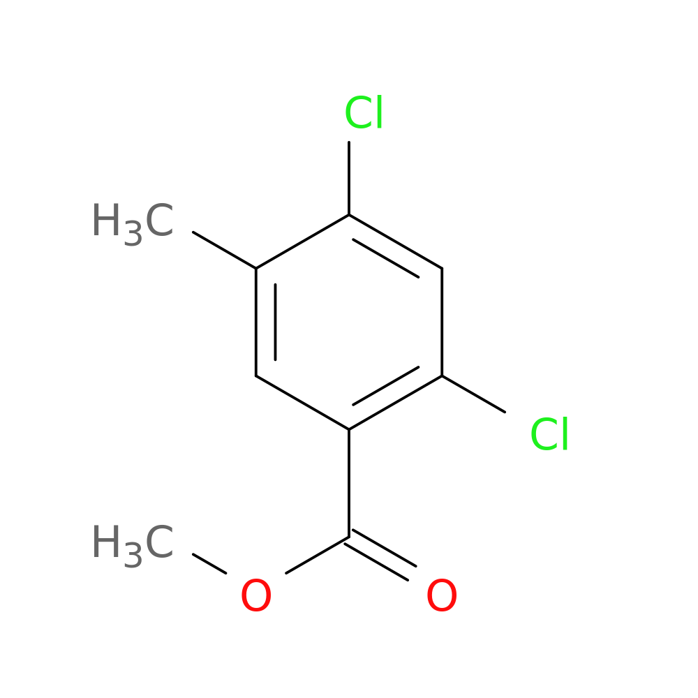 2,4-Dichloro-5-methylbenzoic acid methyl ester