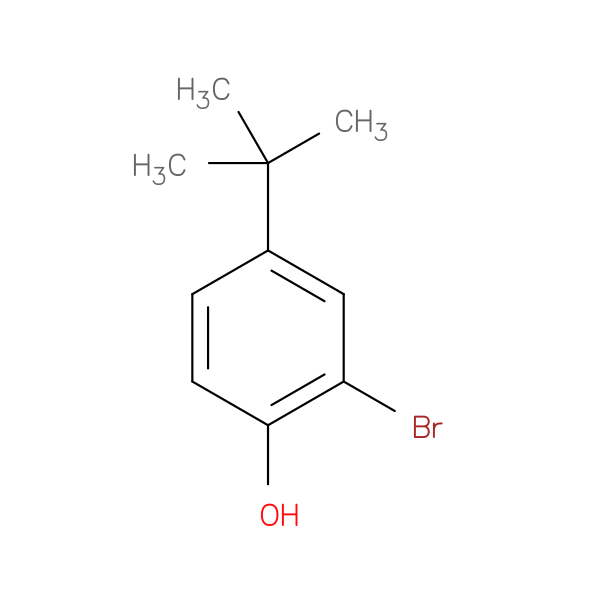 2-Bromo-4-tert-butylphenol