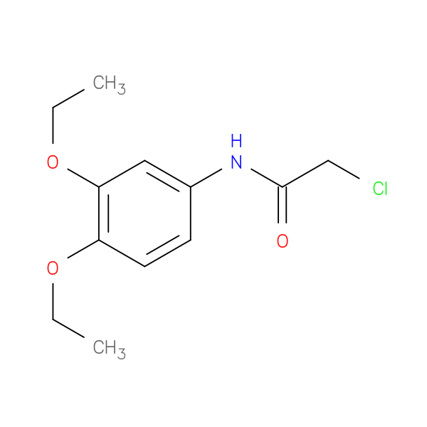 2-chloro-N-(3,4-diethoxyphenyl)acetamide