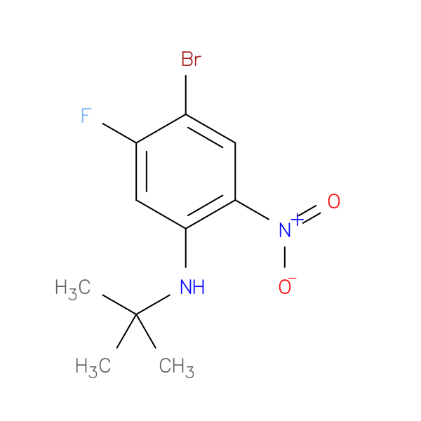 5-Bromo-2-(t-butylamino)-4-fluoro-1-nitrobenzene